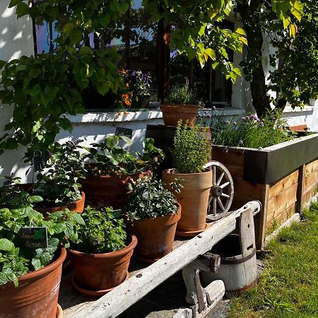 Gaestehaus Fitsch Obsteig Esterno foto