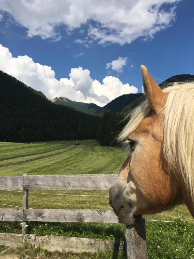 Gaestehaus Fitsch Obsteig Esterno foto