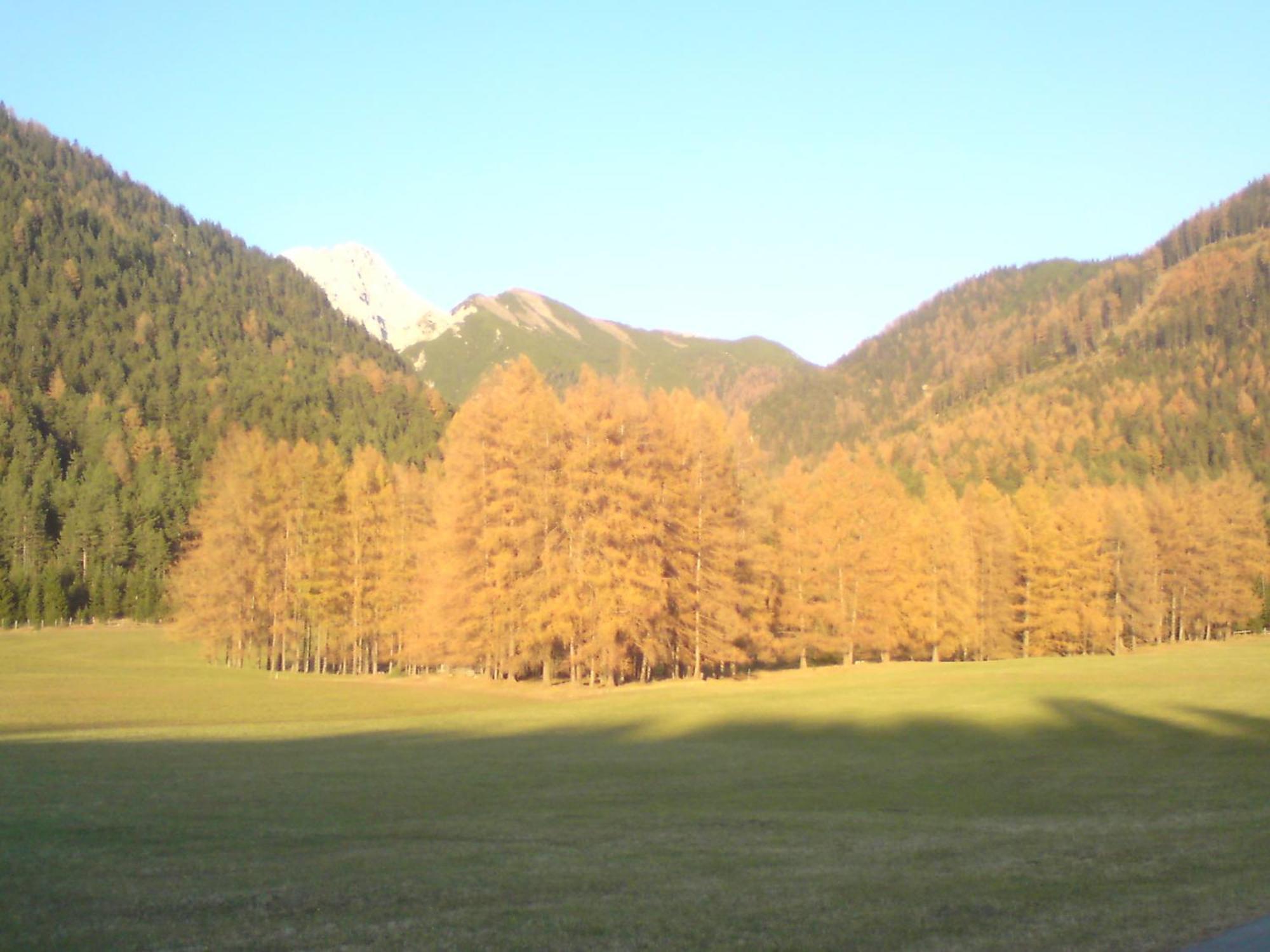 Gaestehaus Fitsch Obsteig Esterno foto